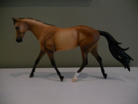 Sarong Ponies and Palms event